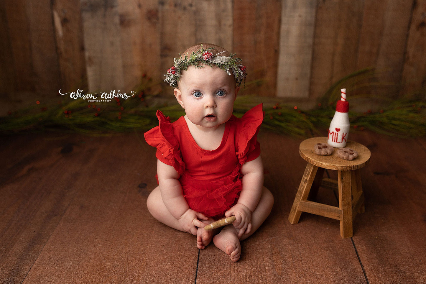 RTS! Santa's milk and cookies set