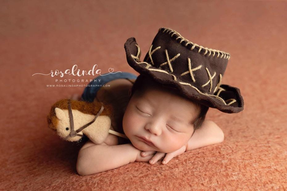 RTS! Felted stick horse toy