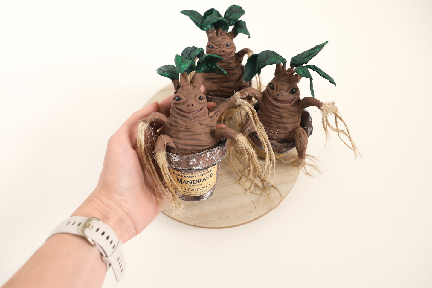 RTS! Mandrake plant