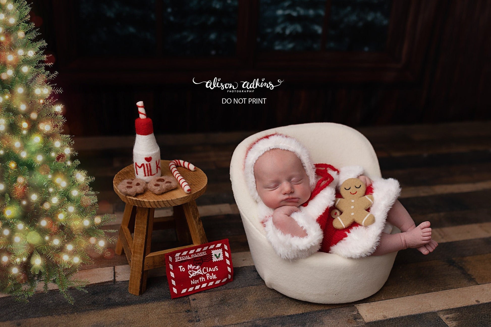 RTS! Santa's milk and cookies set