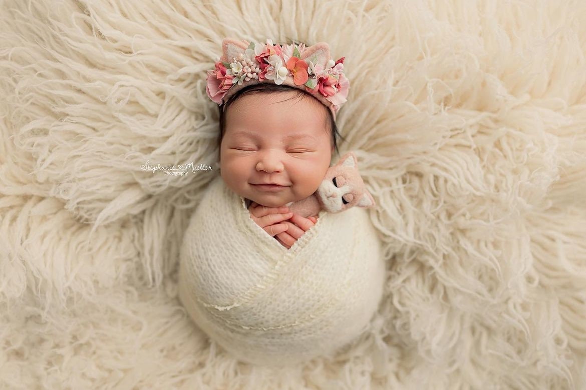 RTS! Felted kitten props