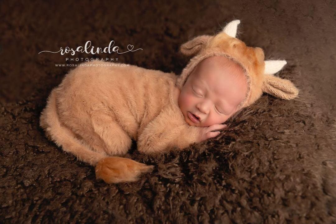 MADE TO ORDER! Highland cow outfit