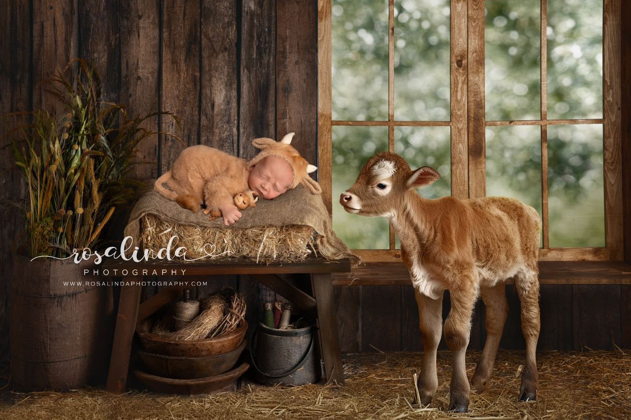 RTS! Fuzzy highland cow bonnet