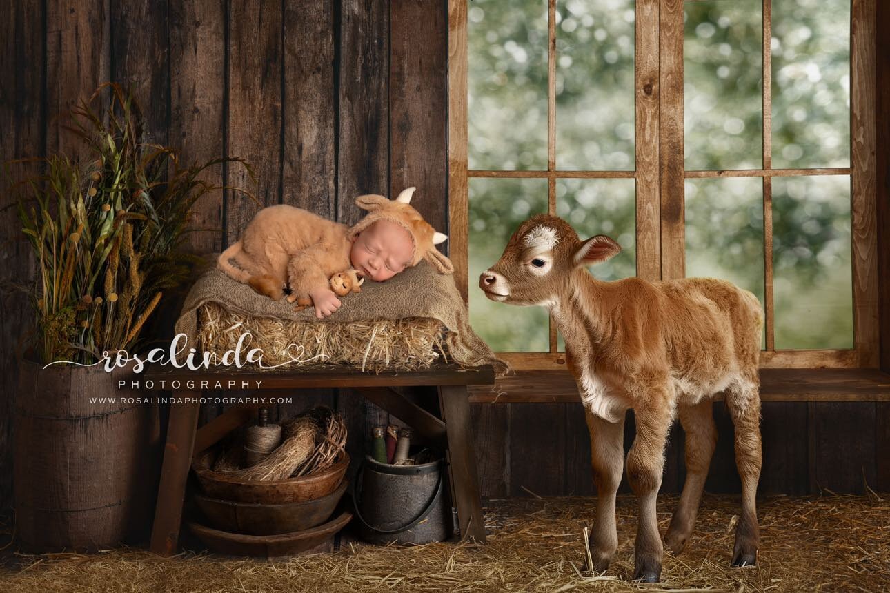 RTS! Newborn knitted highland cow outfit