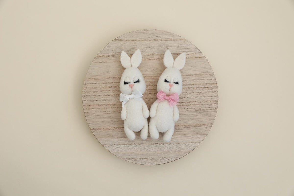 MADE TO ORDER! Felted bunny props