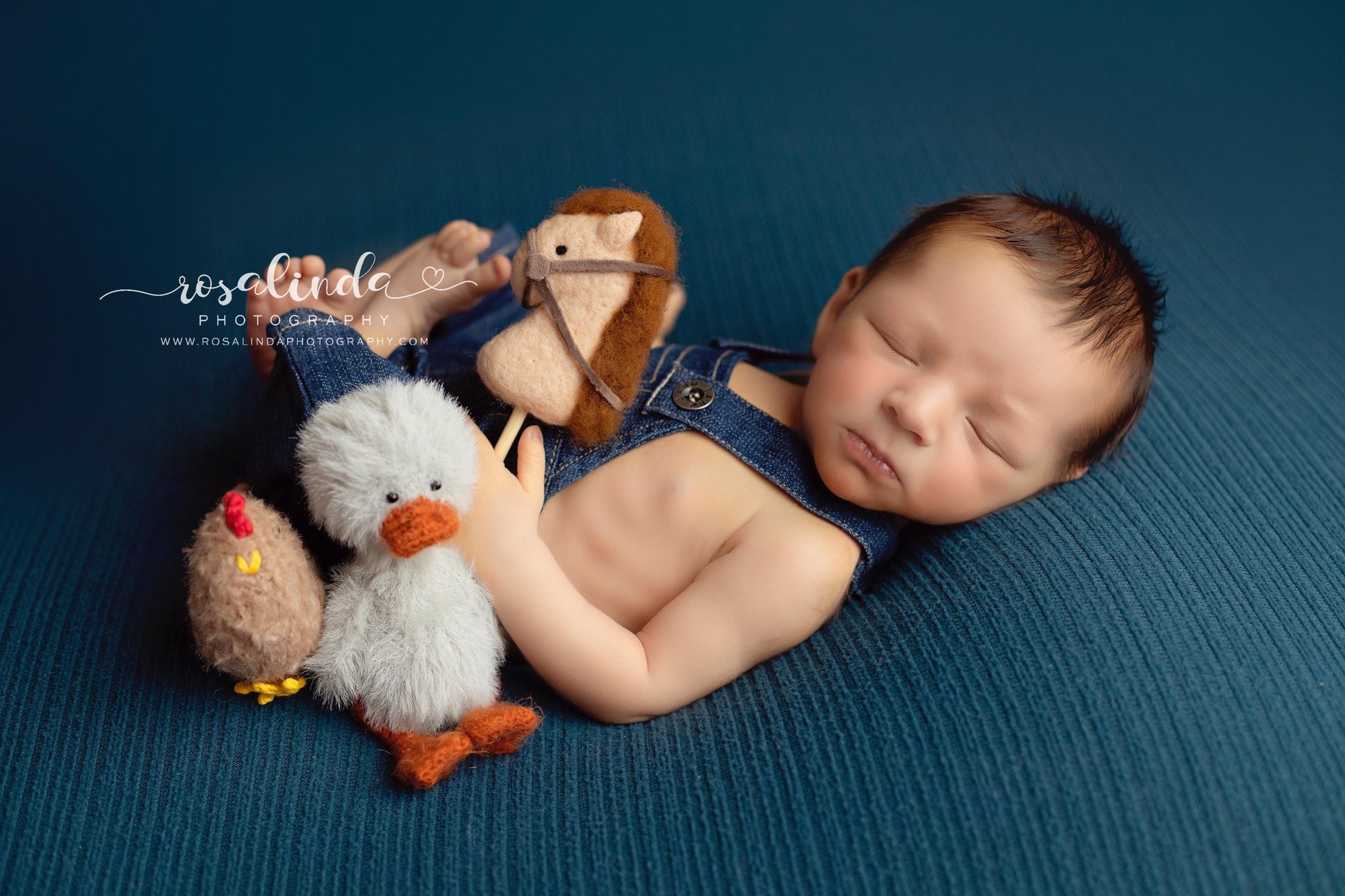 RTS! Chicken toy