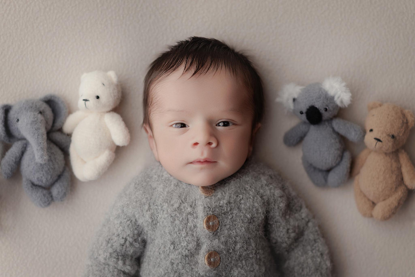 RTS! Knitted koala toy