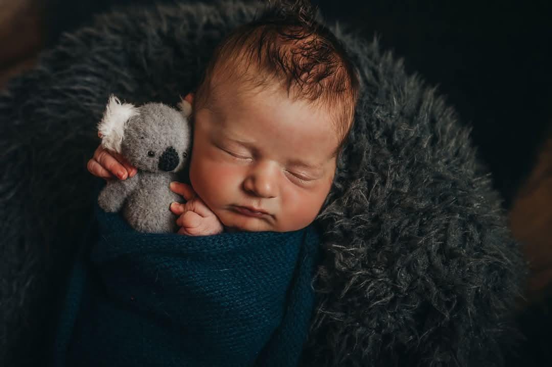 MADE TO ORDER! Knitted koala toy