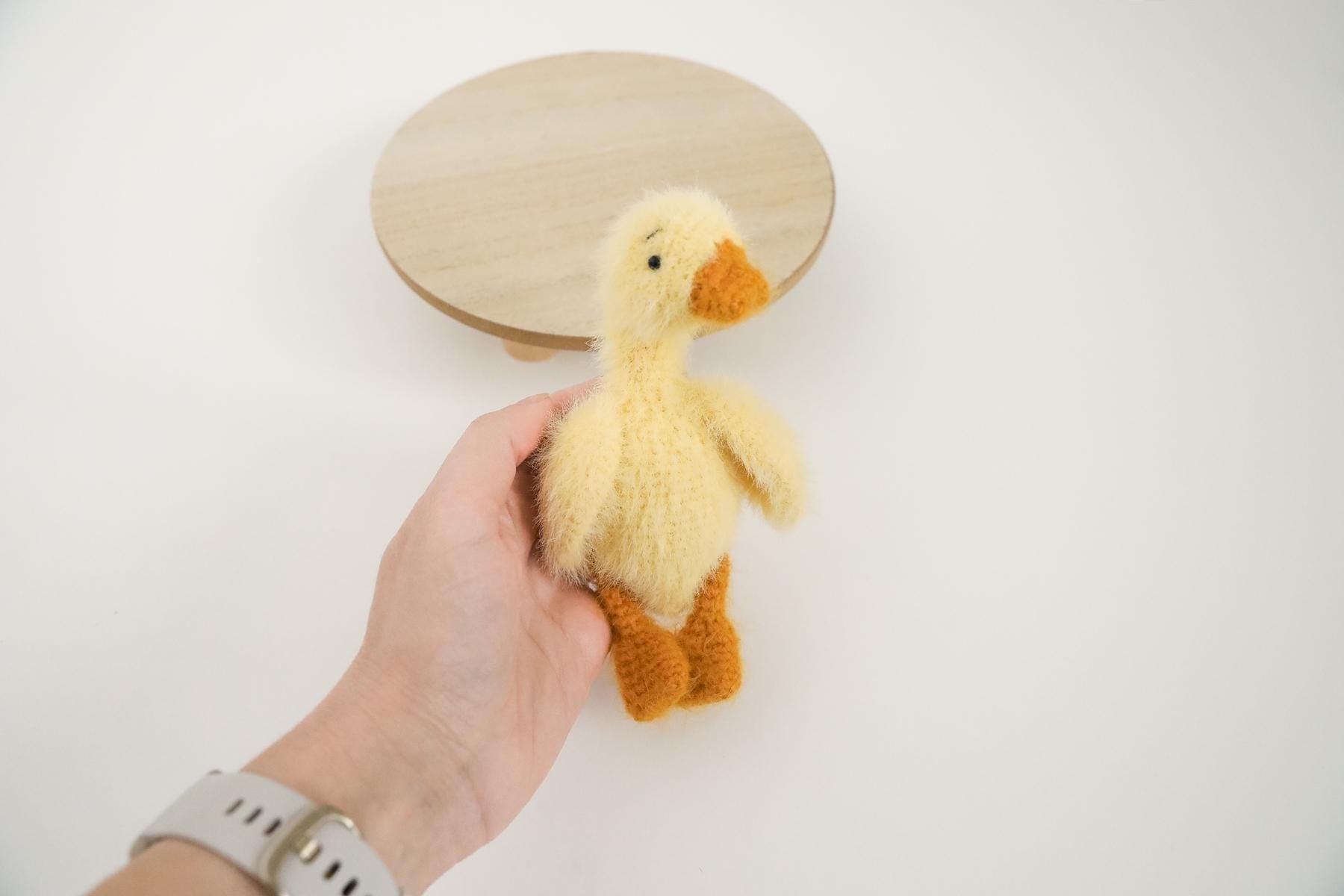 MADE TO ORDER! Duck toy