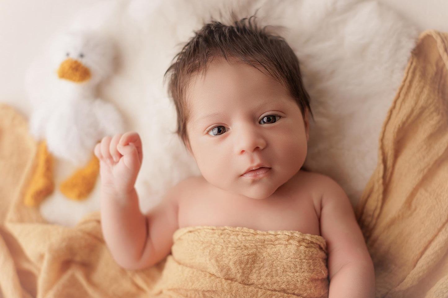 RTS! White goose toy