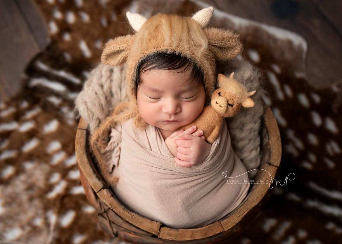 RTS! Fuzzy highland cow bonnet