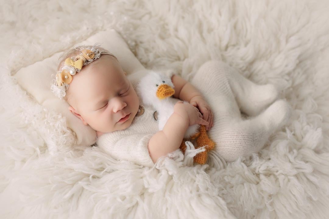 RTS! White goose toy