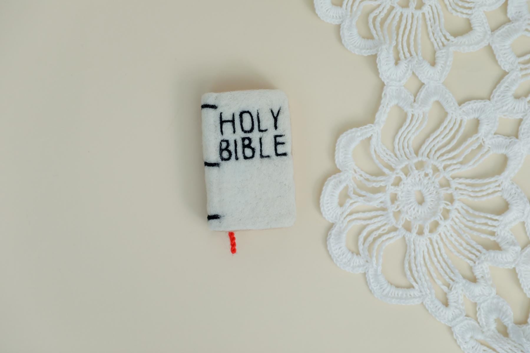 RTS! Felted bible | Felted stuffy toys Newborn photography props Baby photo props Wool holy bible