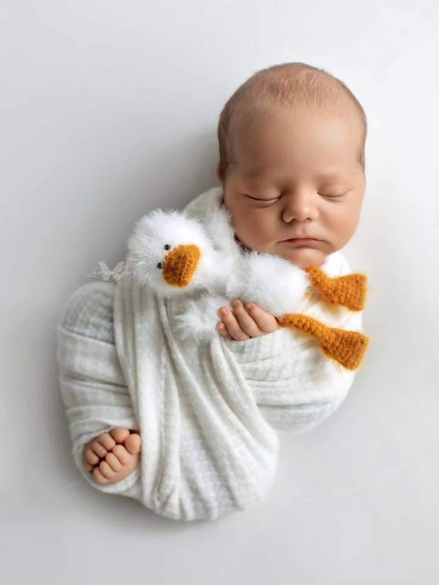 RTS! White goose toy
