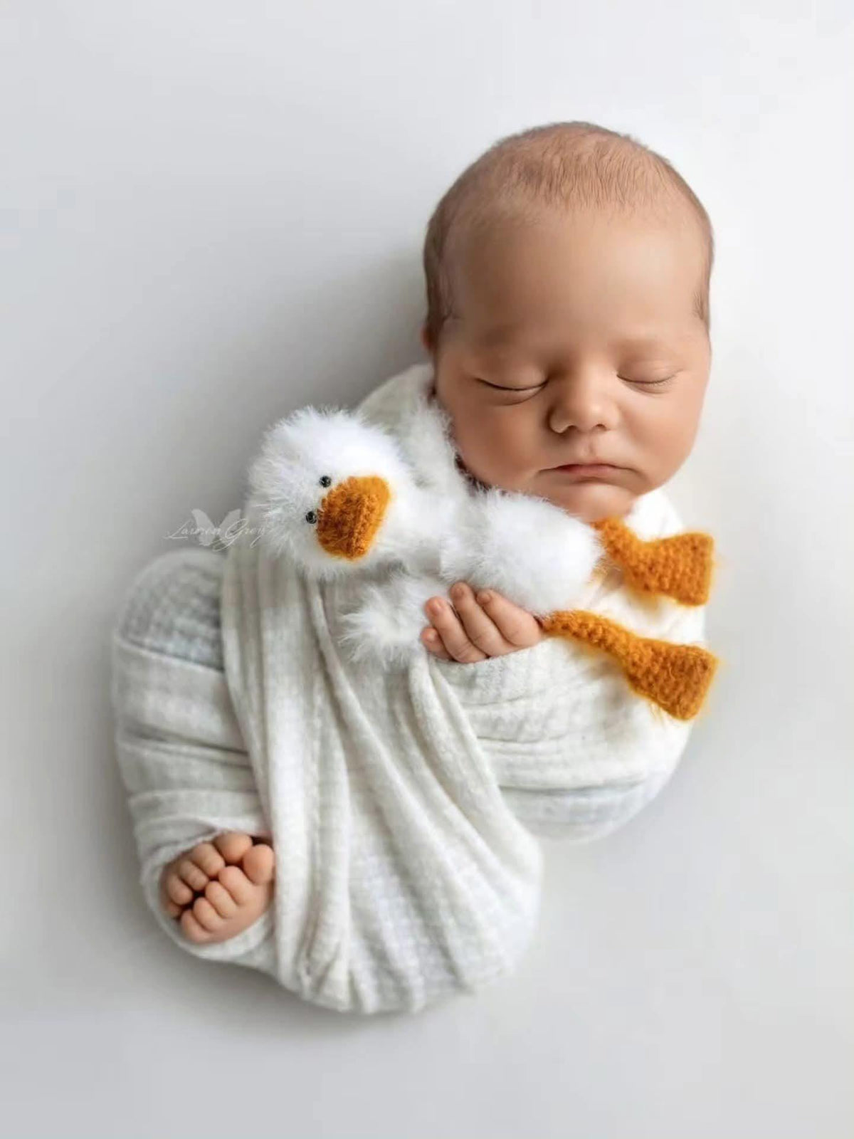 RTS! Goose toy